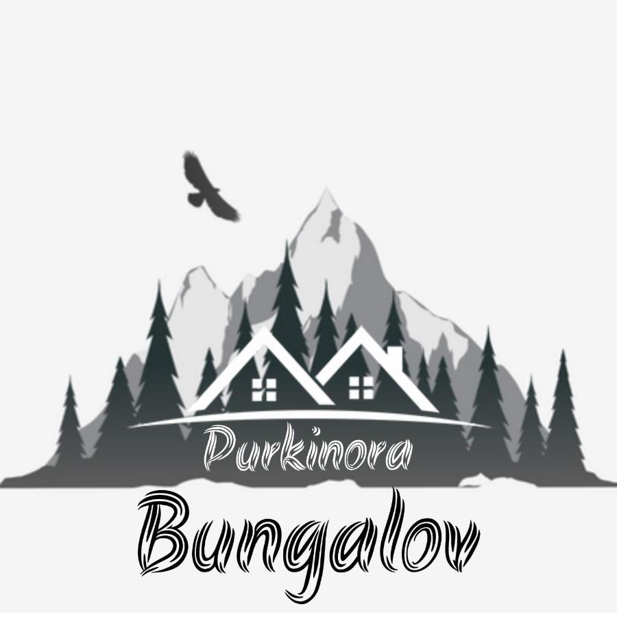 Purkinora Bungalov Çamlıhemşin Exteriör bild