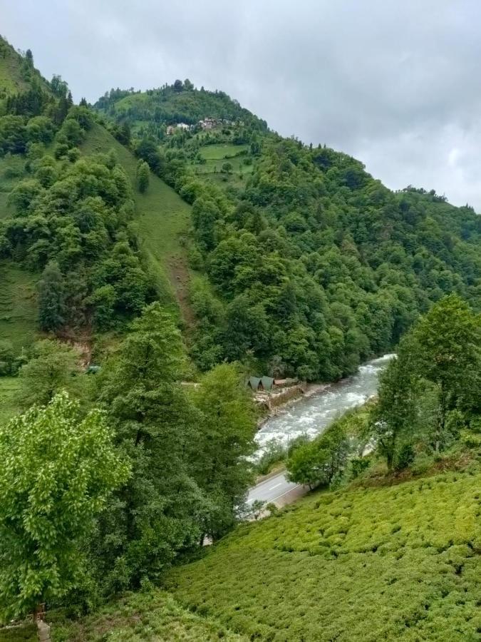 Purkinora Bungalov Çamlıhemşin Exteriör bild