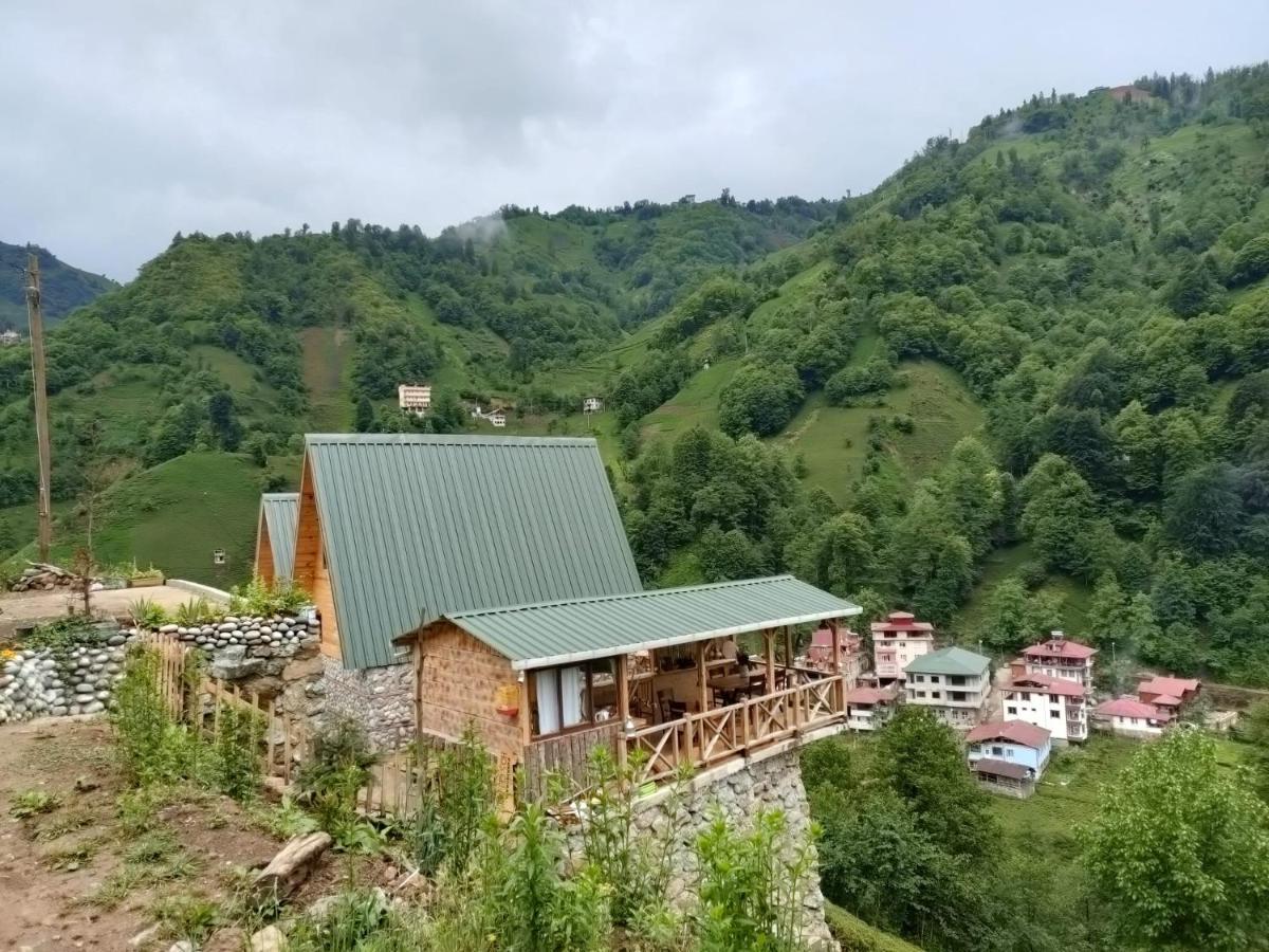 Purkinora Bungalov Çamlıhemşin Exteriör bild
