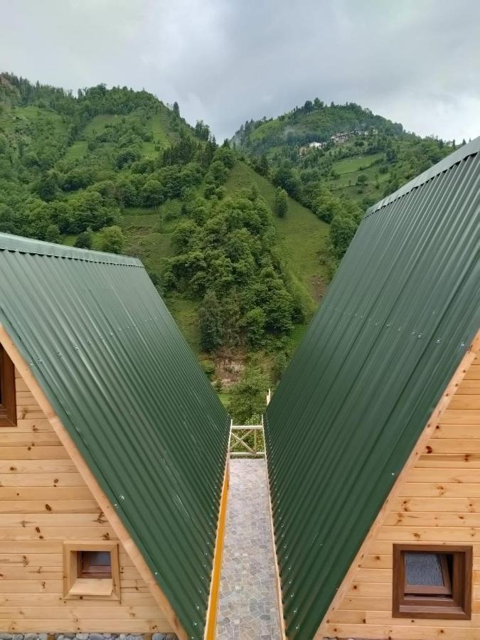 Purkinora Bungalov Çamlıhemşin Exteriör bild