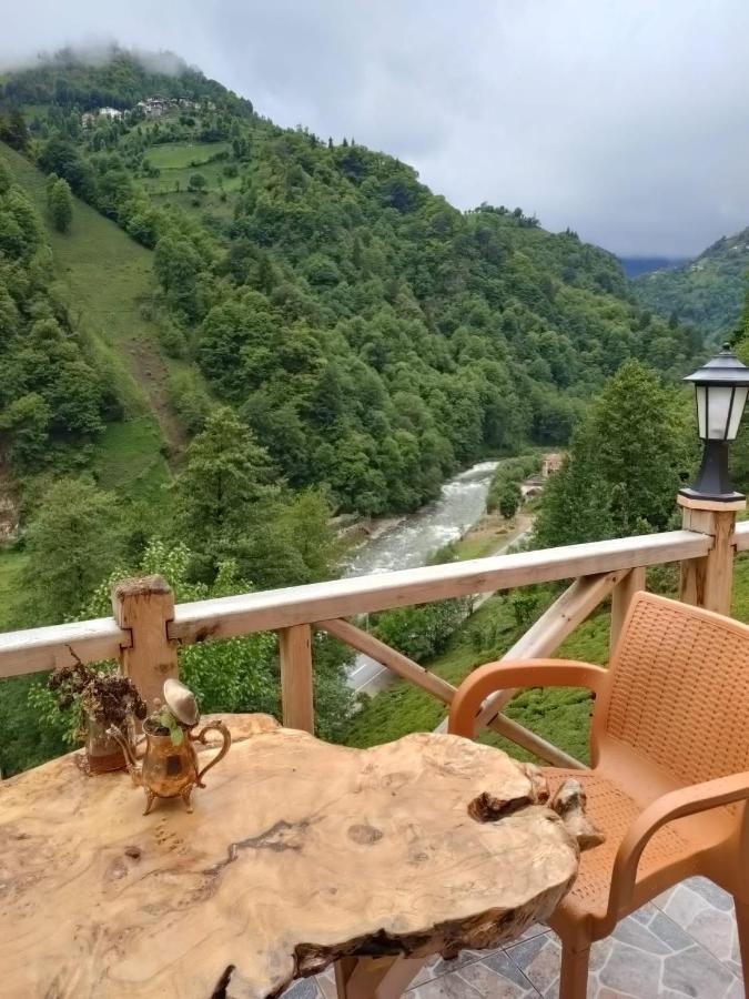 Purkinora Bungalov Çamlıhemşin Exteriör bild