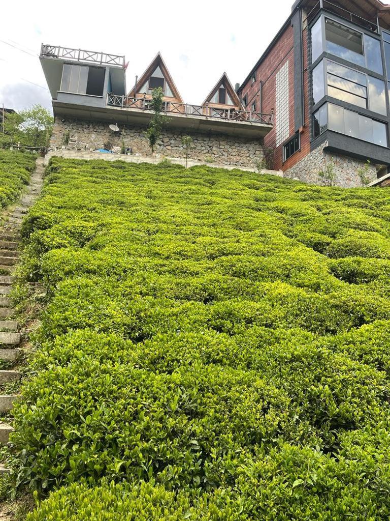 Purkinora Bungalov Çamlıhemşin Exteriör bild