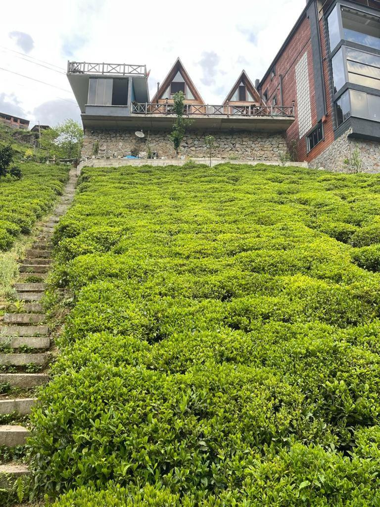Purkinora Bungalov Çamlıhemşin Exteriör bild