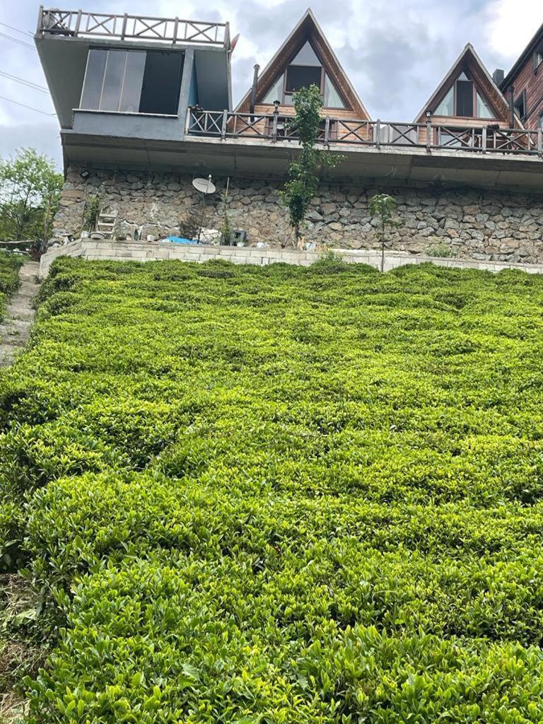 Purkinora Bungalov Çamlıhemşin Exteriör bild