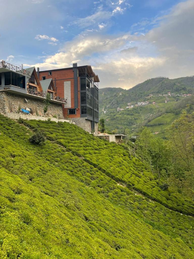 Purkinora Bungalov Çamlıhemşin Exteriör bild