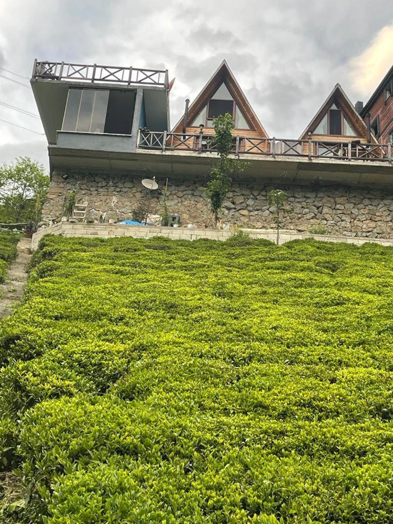 Purkinora Bungalov Çamlıhemşin Exteriör bild